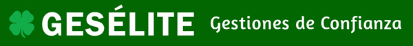 Geselite Logo