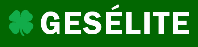 Geselite Logo